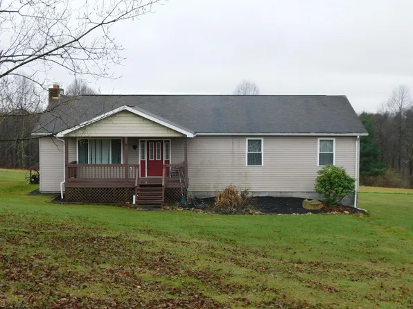 3446 Long Hollow Rd, Masontown, WV 26542