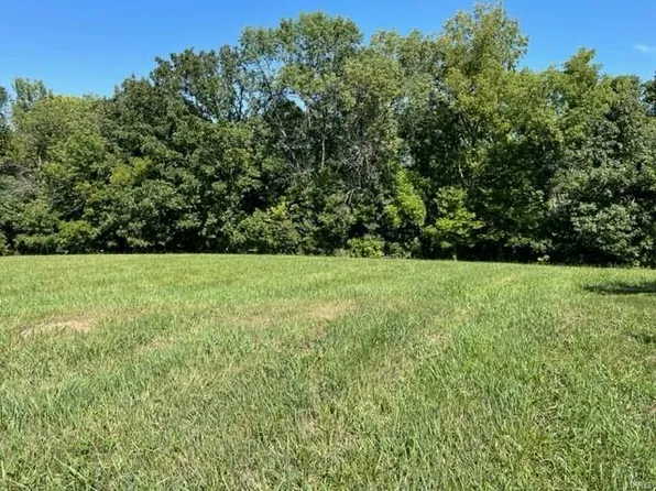 35 Jenna Lee Ct, Foley, MO 63347