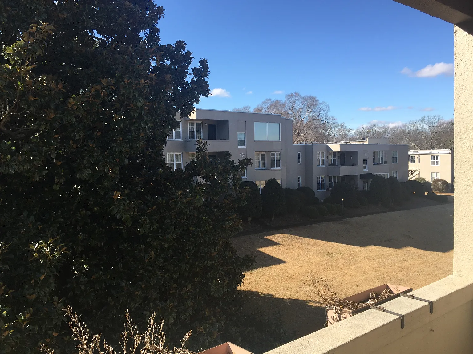 1 bed, 800 sqft, $1,200 — Photo 3