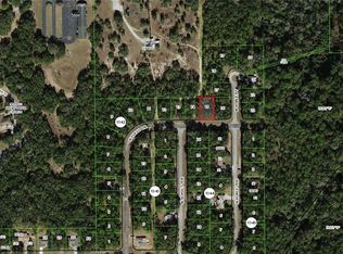 11338 N Fuego Dr, Citrus Springs, FL 34434