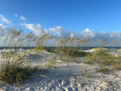 568 Gulf Shore Dr, Carrabelle, FL, 32322