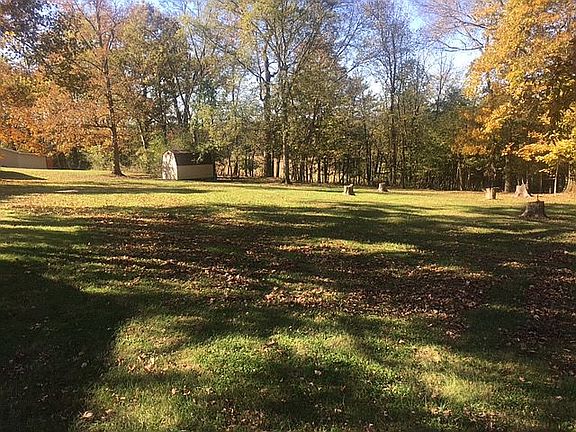 Back Yd: After Ash Tree Bugs