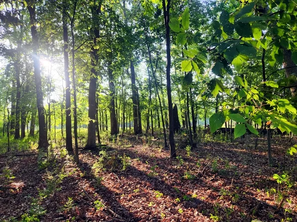 786 Rollingwood Pl, Varna, IL 61375