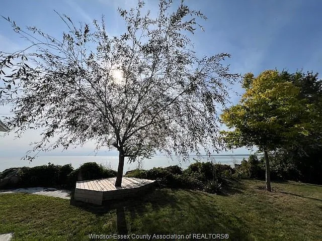 394 Robson Rd — Photo 34