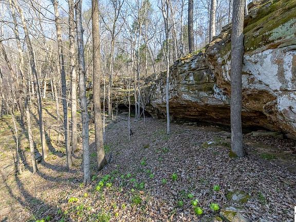 2nd image of 427 Caney Fork Rd