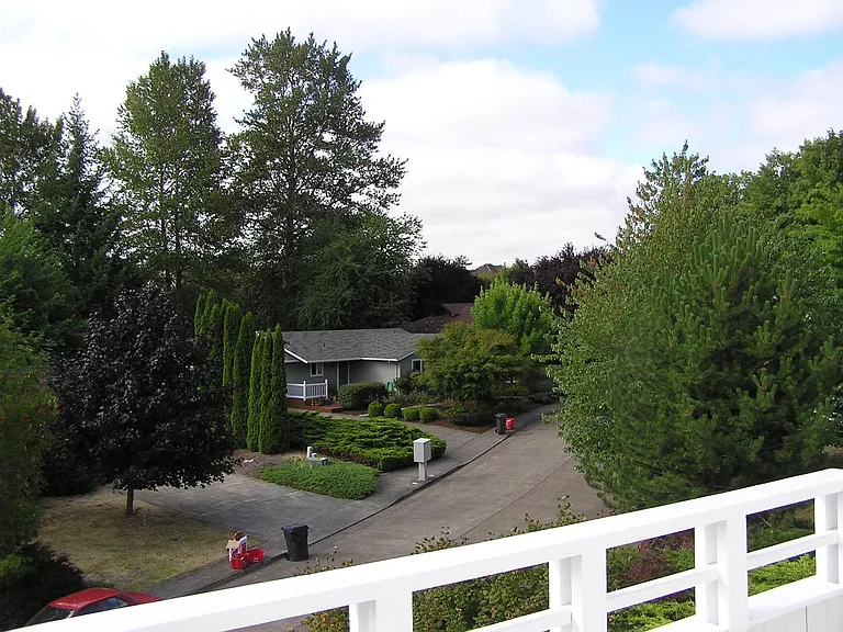 View from Patio