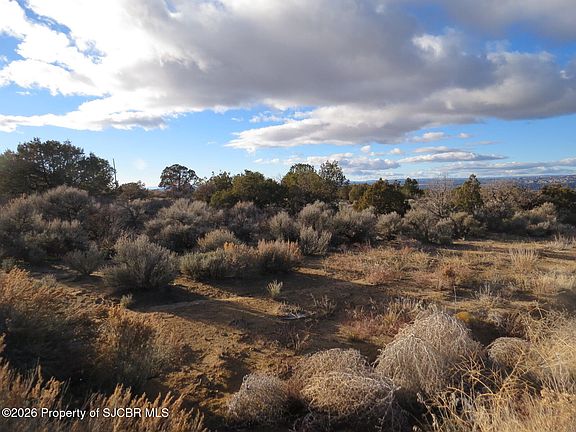 4th image of 41 Road 2553