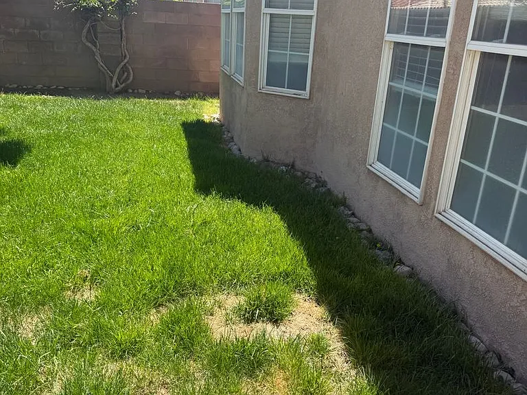 9816 Sierra Morena St NW — Photo 25