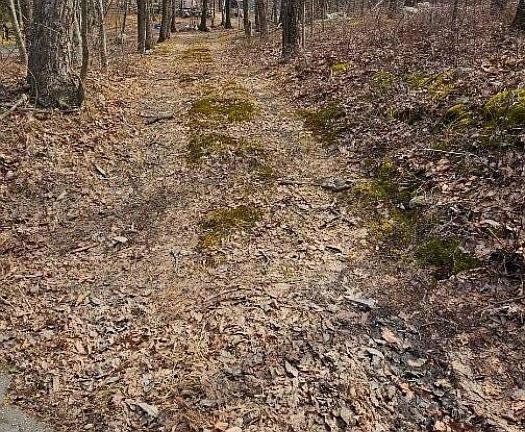 2nd image of 00 Upper Hibernia Rd