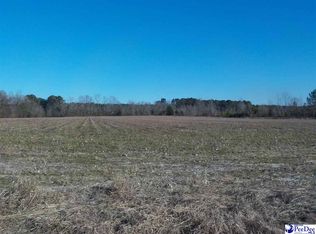 Ottis Parrish Rd, Clio, SC 29525