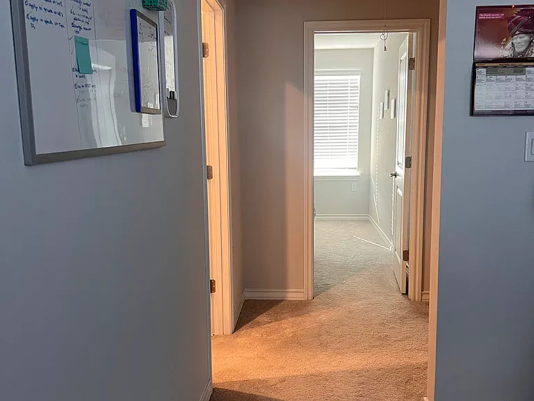 1610 Purple Martin Dr — Photo 31