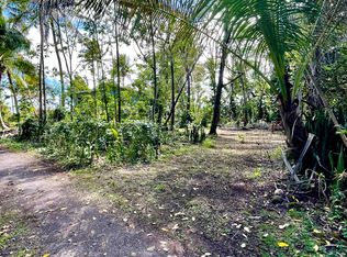 12-91 S Likoliko Loop, Pahoa, HI 96778