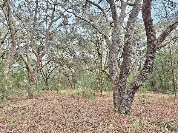 SE 73rd Pl Lot 11, Morriston, FL 32668