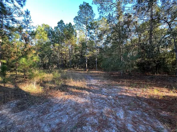 SW Tustenuggee Ave Lot 6, Fort White, FL 32038