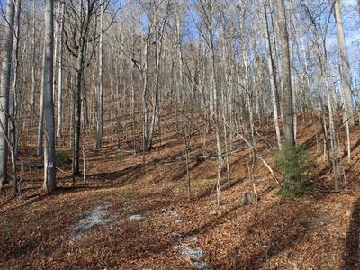 0 W Old Murphy Rd, Franklin, NC, 28734