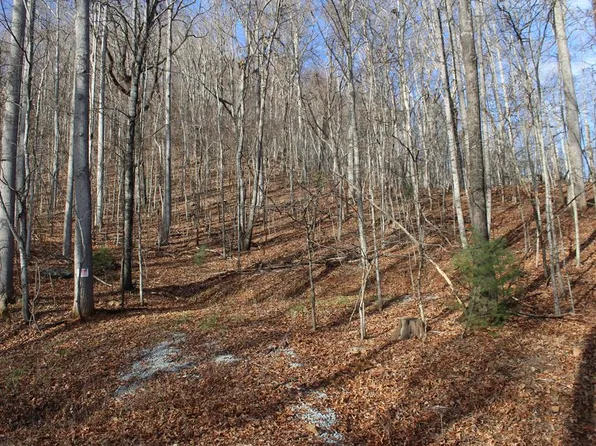 0 W Old Murphy Rd, Franklin, NC 28734