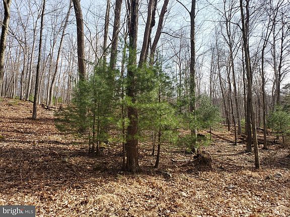 4th image of 114 Baughman Settletment Acres