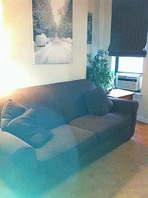 Rented by RC Realty Group of New York Inc | media 12