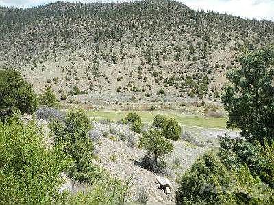 dscn0565_01