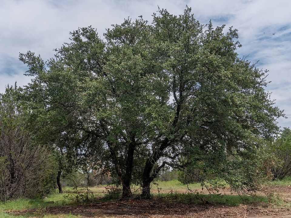 Tract 7 - Shiloh Vista Ranch | Tolar, Texas