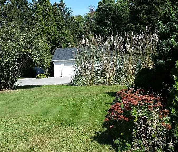 Front Yard