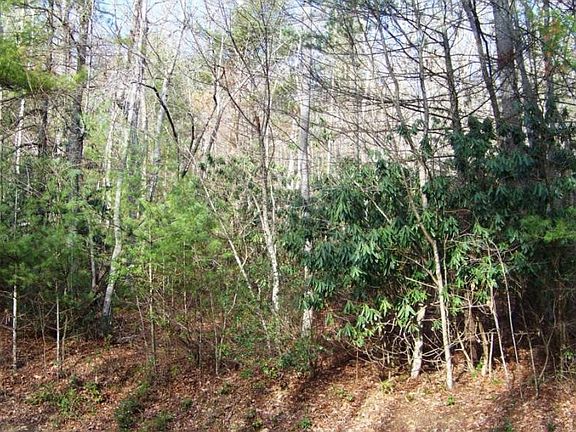4th image of 000 Valley Creek Dr