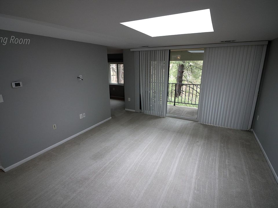 Walk into this unit to see this sunlight splashed view from the huge living room out to the White pine tree. The dining room window is visible in the upper left.
