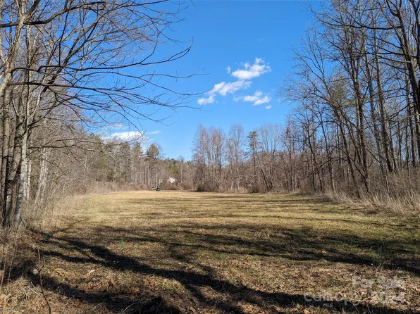 Tbd Bat Cave Rd, Old Fort, NC 28762