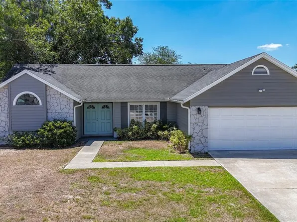 1005 Cameo Crest Ln, Valrico, FL 33596