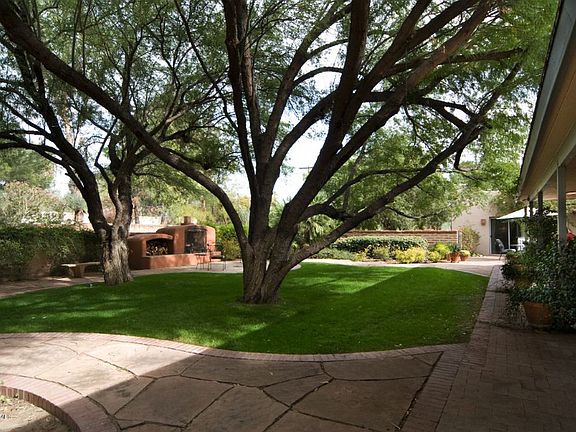 Backyard Grass Area