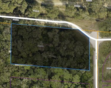 Niles St LOT 0, Sorrento, FL, 32776