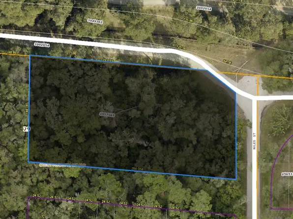 Niles St Lot 0, Sorrento, FL 32776