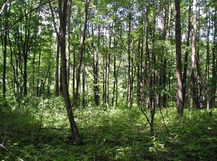 0 Thayer Rd, Hartwick, NY 13348