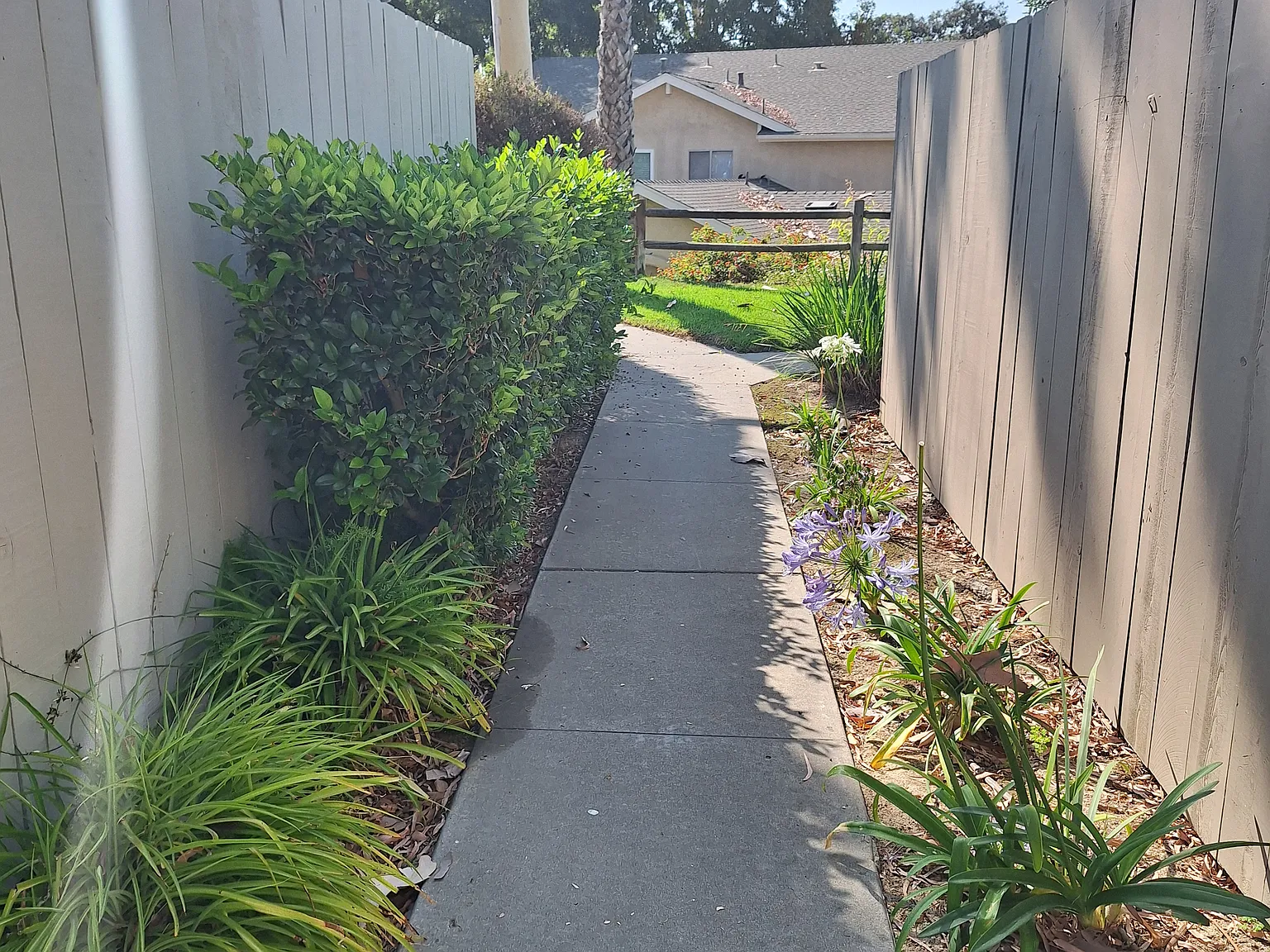 4156 Camino Ticino — Photo 4