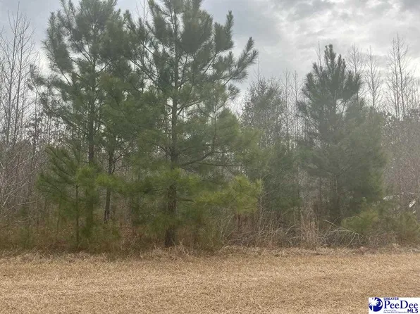 70 Chance Ln, Salters, SC 29590