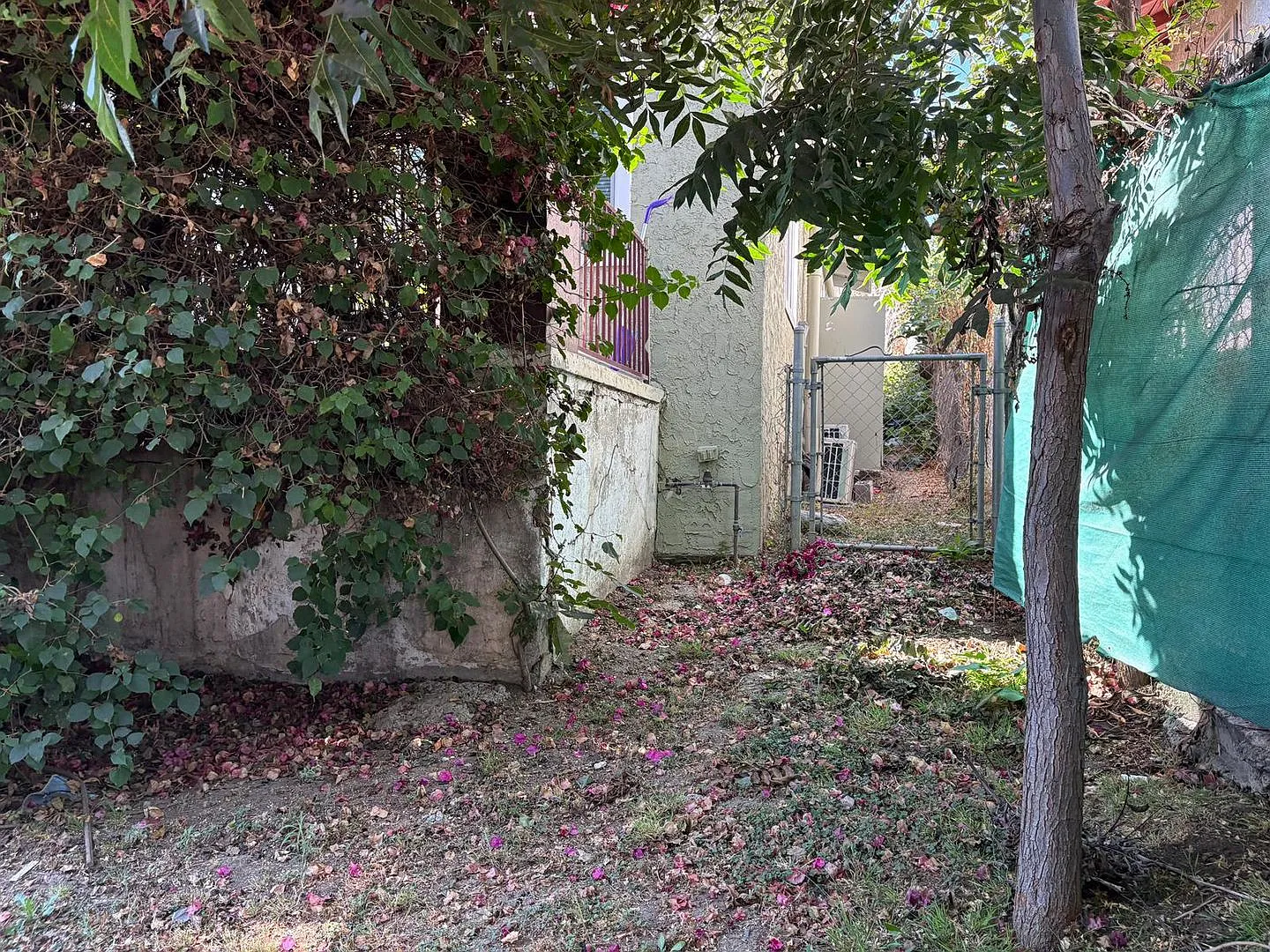 Rosemont — Photo 4
