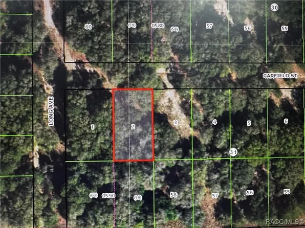 2607 Garfield St, Inverness, FL 34453