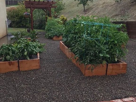 Brick patio in garden area