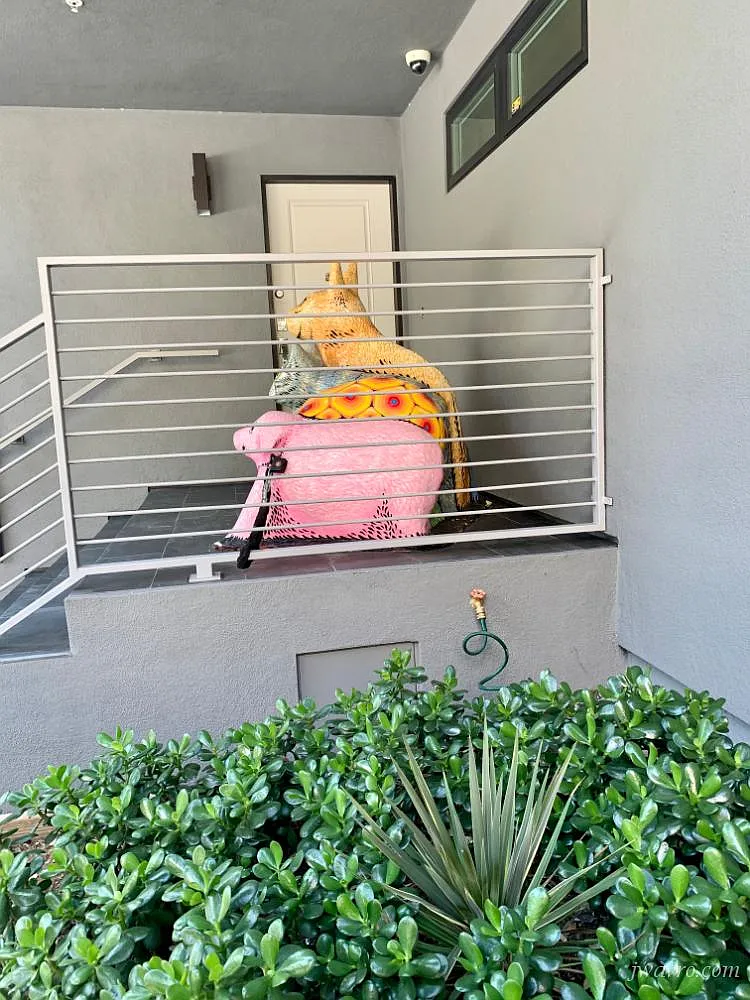 Furnished Apt Near 3 Parks And 8min Walk To Castro Muni! — Photo 2