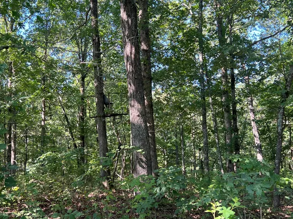Tbd New Hope Road, Hardy, AR 72542