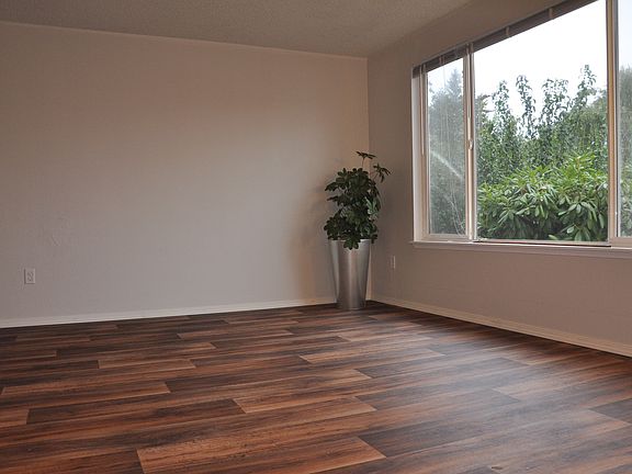 Big Picture Living Room window lets in tons of natural light