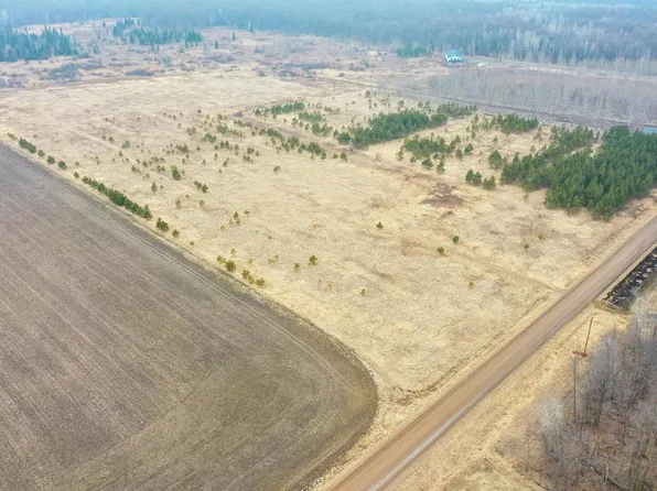 +/-20 Acres HAMM DRIVE, Owen, WI 54460