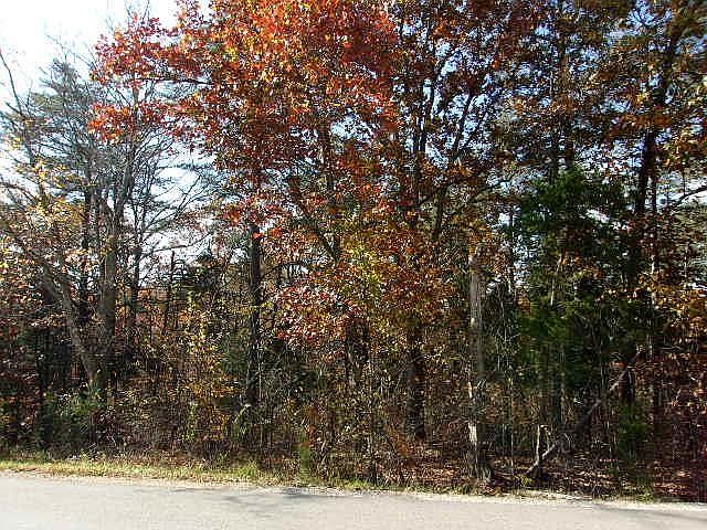 2nd image of 1736 River Rd