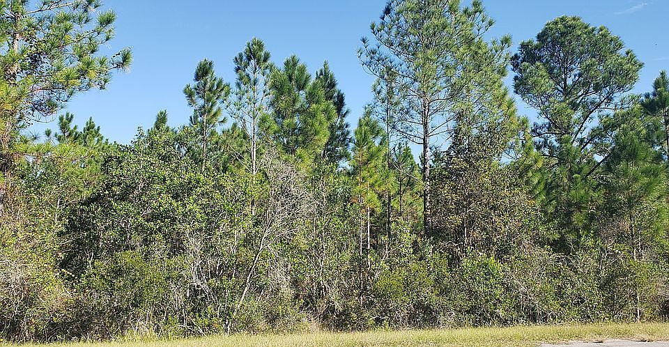2nd image of Palmland St