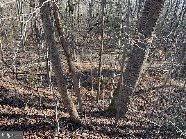 1st image of 6 Bald Eagle Dr