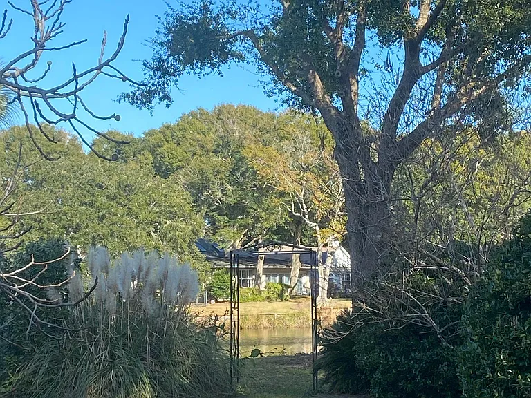 backyard view of the lake