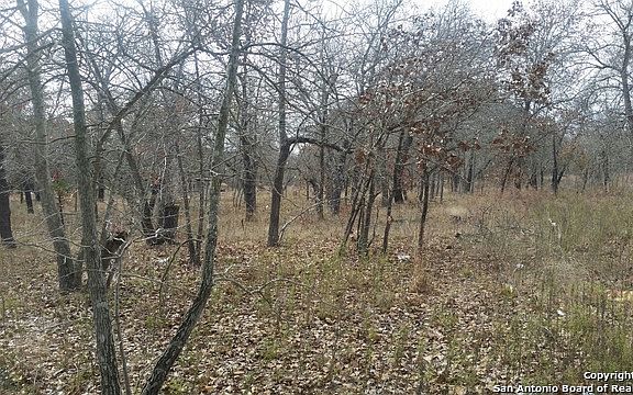4th image of 23311 Hickory Pass
