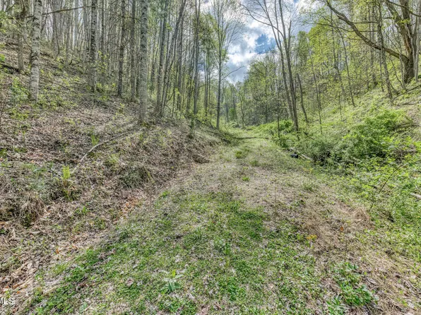 T Greer Rd, Mountain City, TN 37683