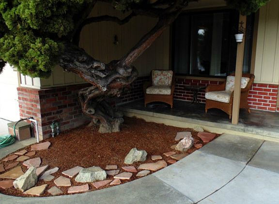 3rd image of 467 Peralta Ave
