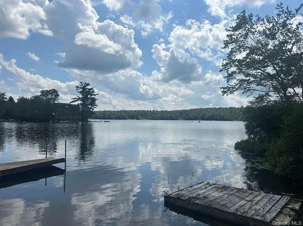 94 Park Drive, Parksville, NY 12768